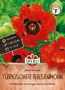 Türkischer Riesenmohn SPERLI's Orient