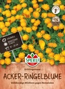 Acker-Ringelblume Frühlingssonne