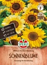 Sonnenblume SPERLI's Pocolino Mischung