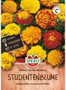 Studentenblume SPERLI's Sparky Mischung