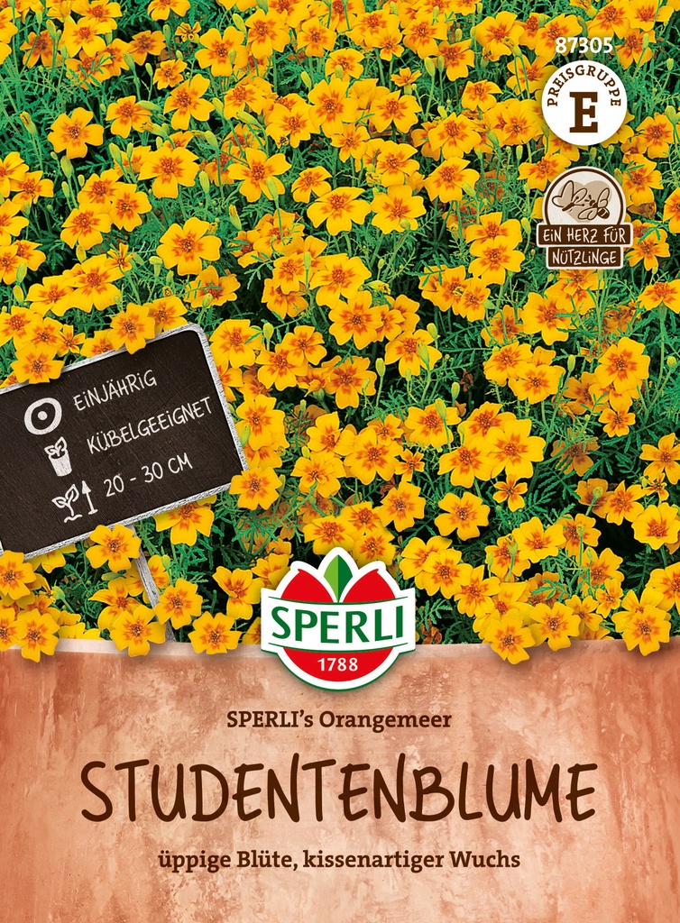 Studentenblume SPERLI's Orangemeer