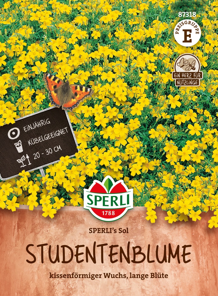 Studentenblume SPERLI's Sol