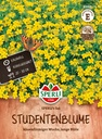 Studentenblume SPERLI's Sol