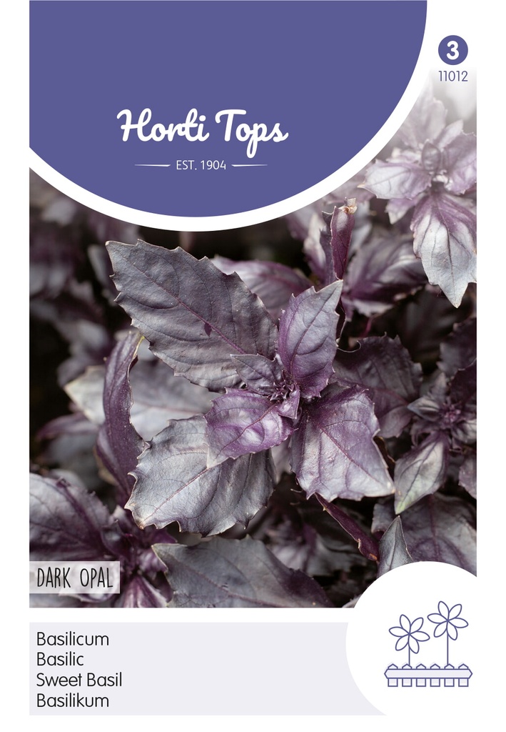 Horti Tops® Basilikum - Dark Opal