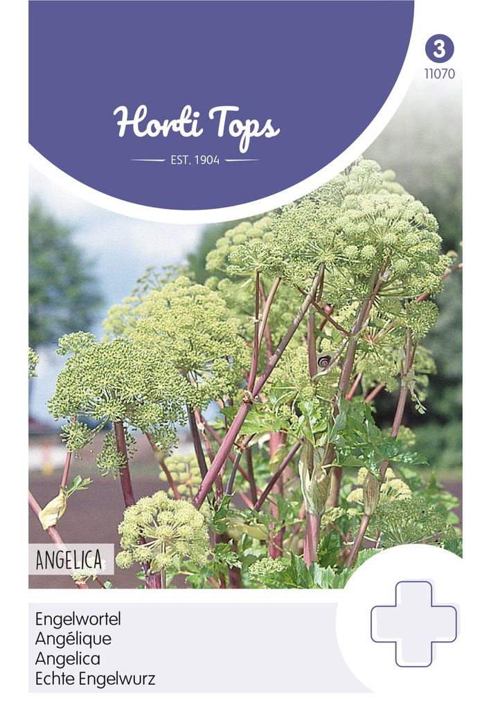 Horti Tops® Echte Engelwurz