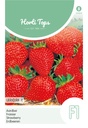 Horti Tops® Erdbeeren Grandian F1