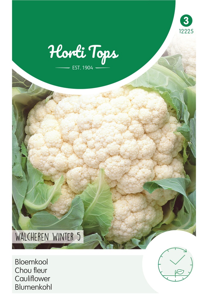 Horti Tops® Blumenkohl Walcheren Winter 5