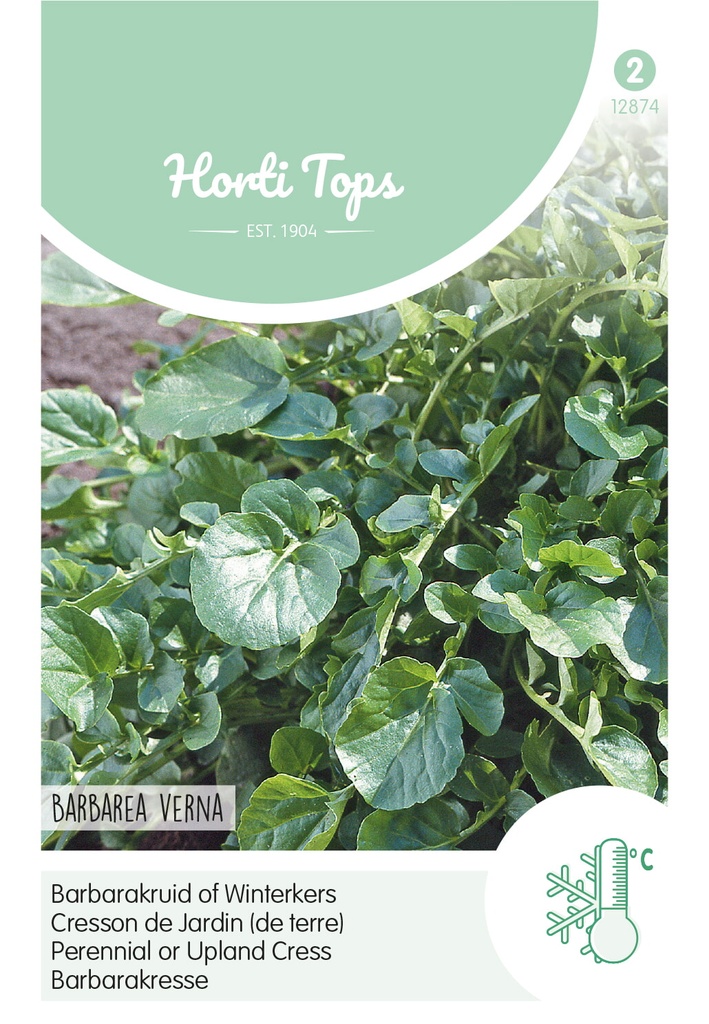 Horti Tops® Barbarakresse (Barbarea Vulgaris)