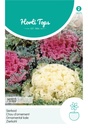 Horti Tops® Brassica Oleracea  (Zierkohl Mischung)