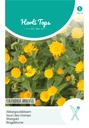 Horti Tops® Calendula Arvensis