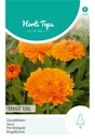 Calendula Off. Gefuellte Orange Koenig