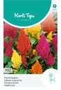 Celosia Argentea Plumosa Hohe Mischung