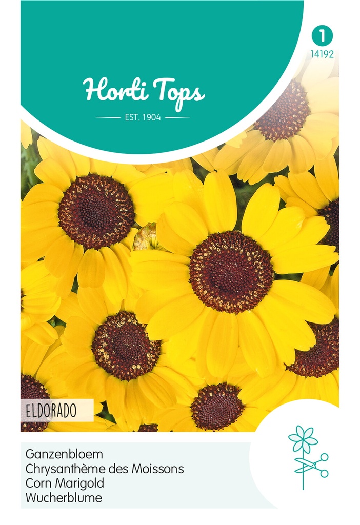 Horti Tops® Chrysanthemum Segetum Eldorado, Gelb