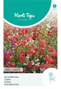 Horti Tops® Clarkia Elegans Gefuellte Mischung