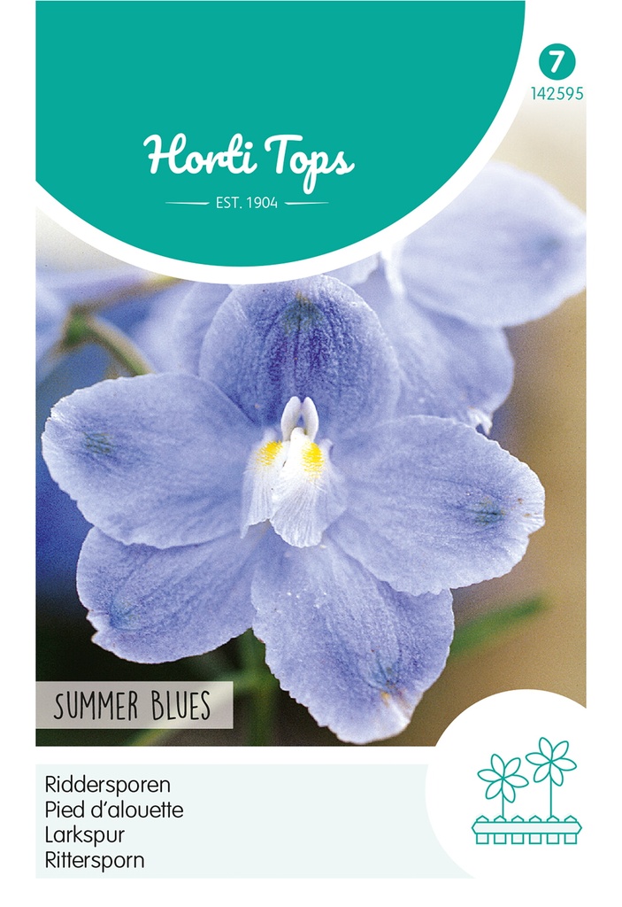 Horti Tops® Delphinium Grandiflorum 'Summer Blues'