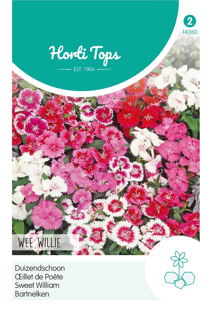 Horti Tops® Dianthus Barbatus Wee Willie Mischung