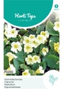 Horti Tops® Kapuzinerkresse Milkmaid