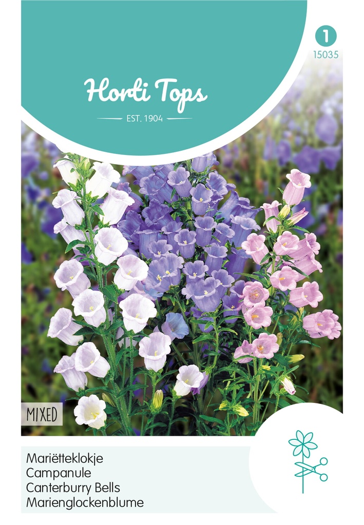 Horti Tops® Campanula Medium Einfache Mischung