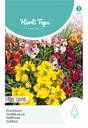 Horti Tops® Cheiranthus Cheirii Tom Thumb