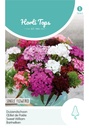 Horti Tops® Dianthus Barbatus Einfache Mischung