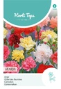 Horti Tops® Dianthus Car. Grenadin Gefuellte Mischung