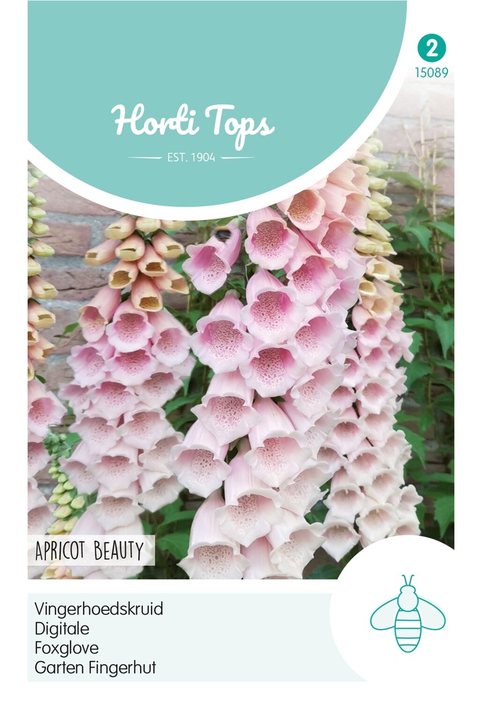 Horti Tops® Digitalis Apricot Beauty