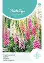 Horti Tops® Digitalis Purpurea Gloxiniaeflora Mischung