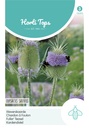 Horti Tops® Dipsacus sativus / Karde