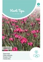 Horti Tops® Dianthus Delt. Erectus Karminrot