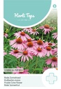 Horti Tops® Echinacea (Rudbeckia) Purpurea Purpurrosa