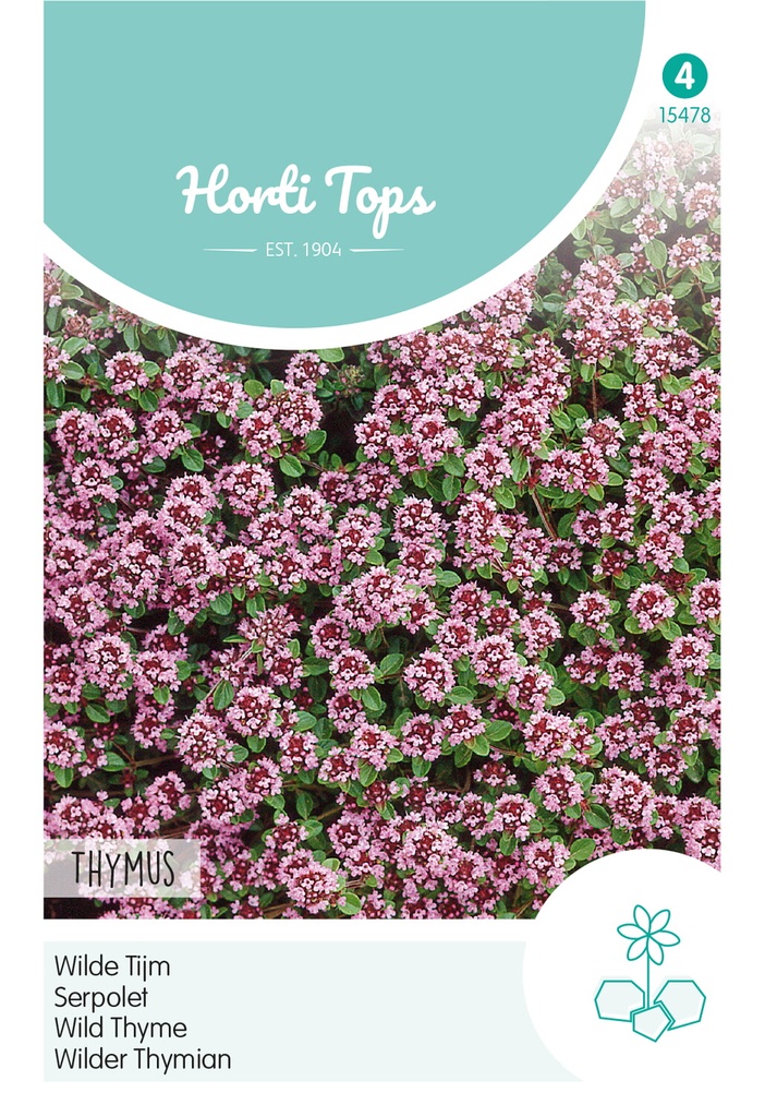 Horti Tops® Thymus serpyllum