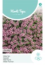 Horti Tops® Thymus serpyllum