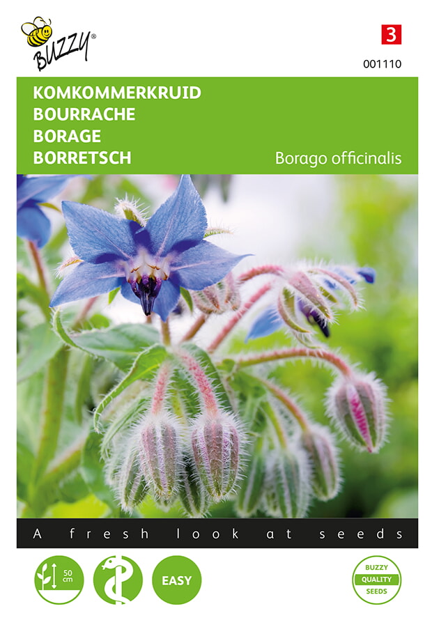 Buzzy® Borretsch - Borago officinalis