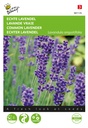 Buzzy® Lavendel