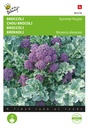 Buzzy® Spargelkohl Summer Purple