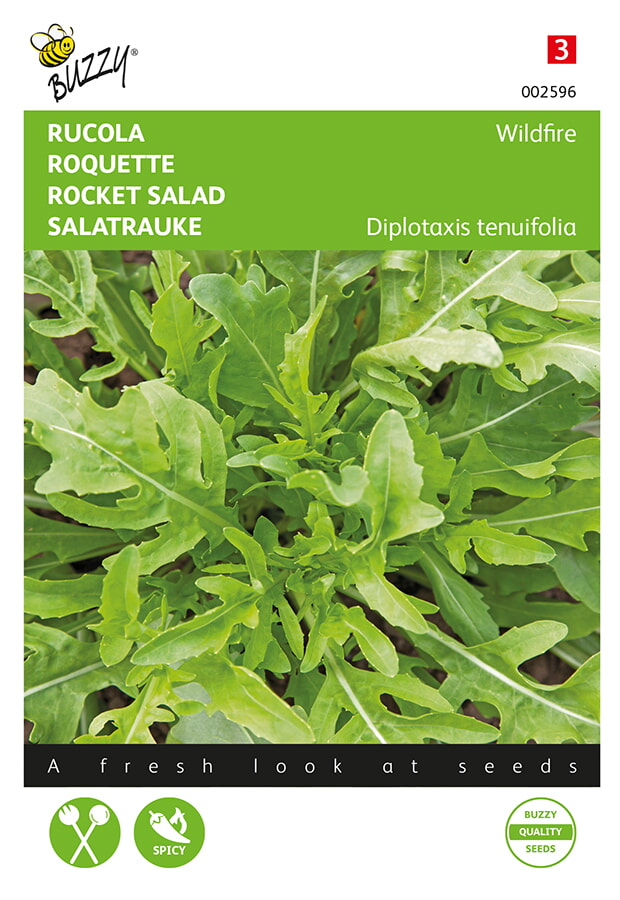 Salatrauke Rucola Wasabi