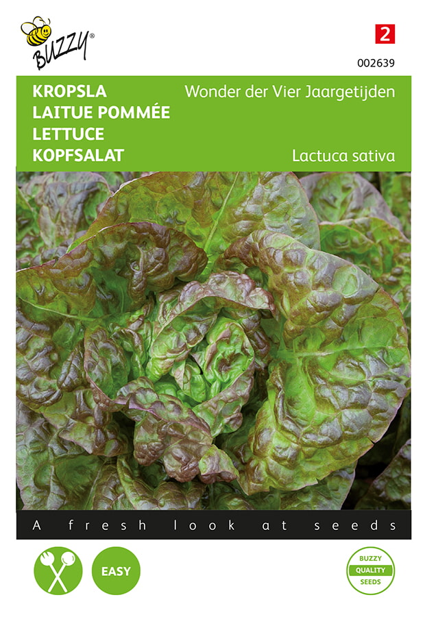 Buzzy® Kopfsalat Merveille des quatre saisons