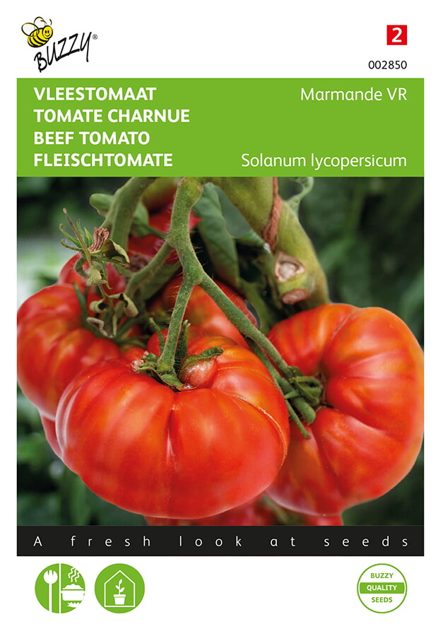 Fleischtomate Marmande VR