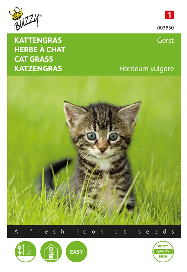 Buzzy® Katzengras Gerste