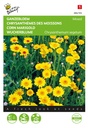 Buzzy® Saat-Wucherblume Gelbe färbung, Mischung