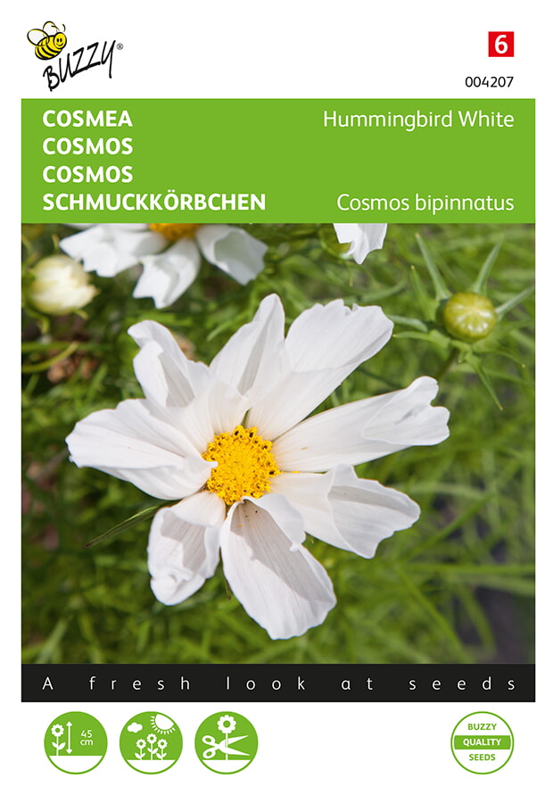 Cosmos Hummingbird White