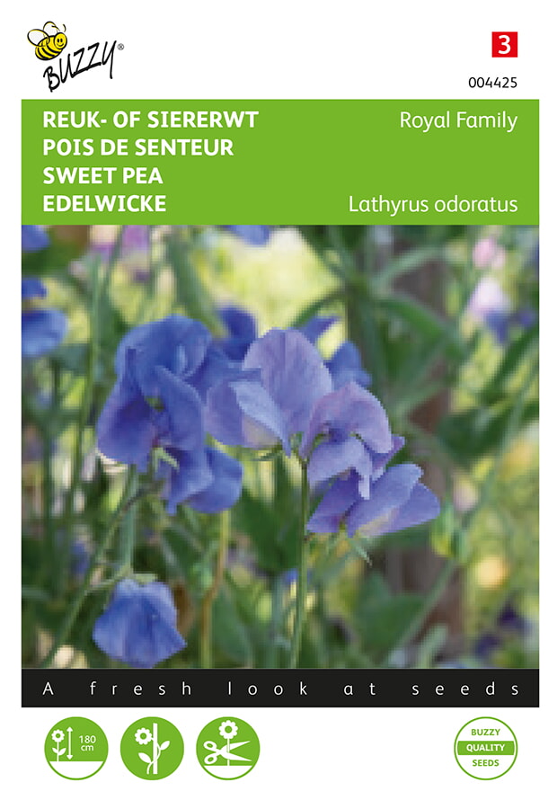 Buzzy® Lathyrus odoratus Royal Blau