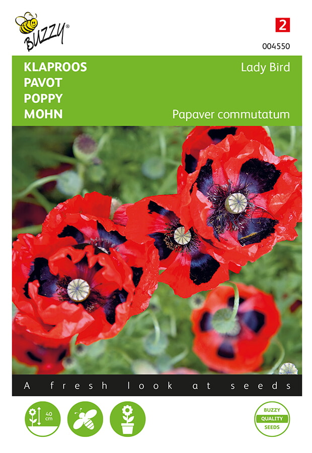 Buzzy® Mohn - Lady Bird