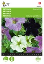 Buzzy® Petunia Sophistica Mischung