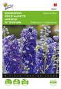 Delphinium, Rittersporn Dasante Blue