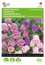 Buzzy® Campanula medium Gefuellte Mischung