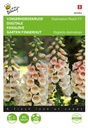 Buzzy® Digitalis Dalmatian F1 Peach