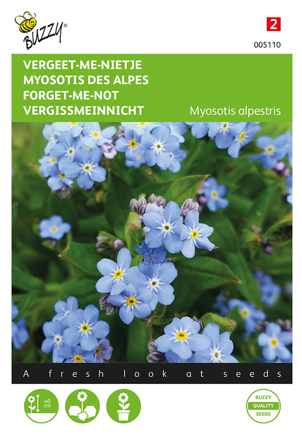 Buzzy® Myosotis alpestris blau