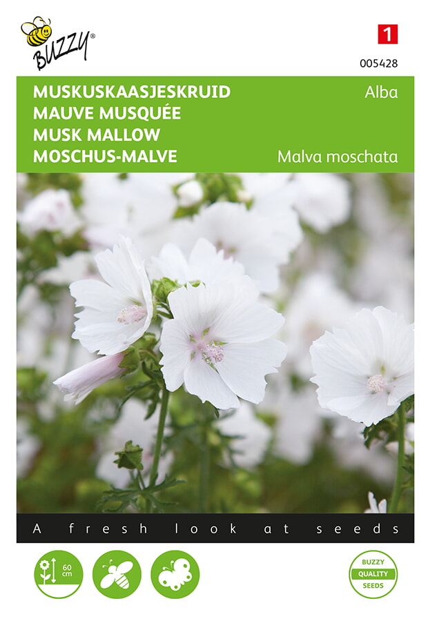 Buzzy® Malva, Moschu-Malva Alba weiß