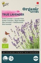 Buzzy® Organic Echter Lavendel(BIO)